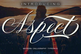Aspect: A Serious and Bold Script for Impactful Design