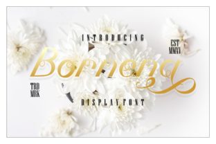 Bornena: A Sweet Script Font That Adds Delicate Charm to Any Design