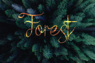 Making Better Design Decisions with Forest: Practical Strategy Over Random Beauty